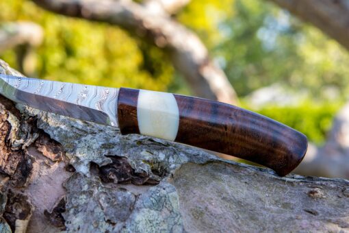 Kniv # 38 - Image 6