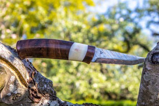 Kniv # 38