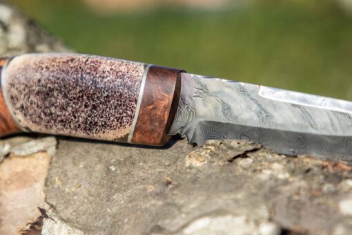 Kniv # 61 - Image 6