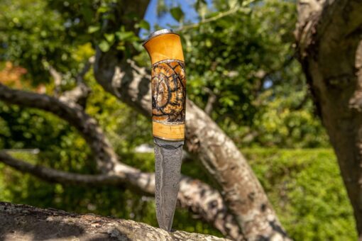 Kniv # 10-21 - Image 2