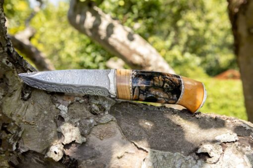 Kniv # 10-21 - Image 4