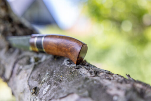 Kniv # 09-22 - Image 12