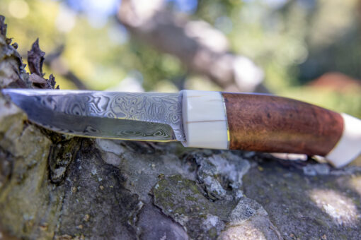Kniv # 14-22 - Image 5