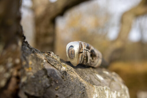 Kniv # 06-23 - Image 9