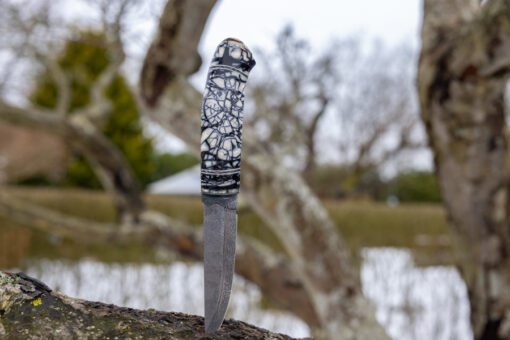 Kniv # 03-24 - Image 3