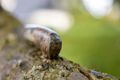 Kniv # 11-24 - Image 12