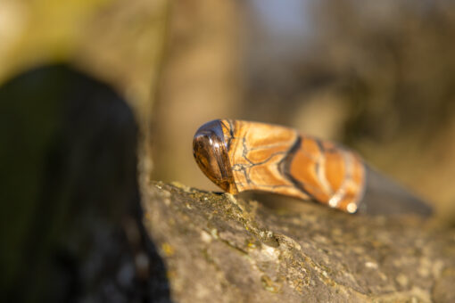 Kniv # 03-25 - Image 6