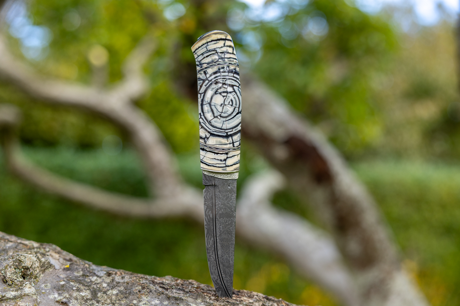 Kniv # 10-25 - Billede 2