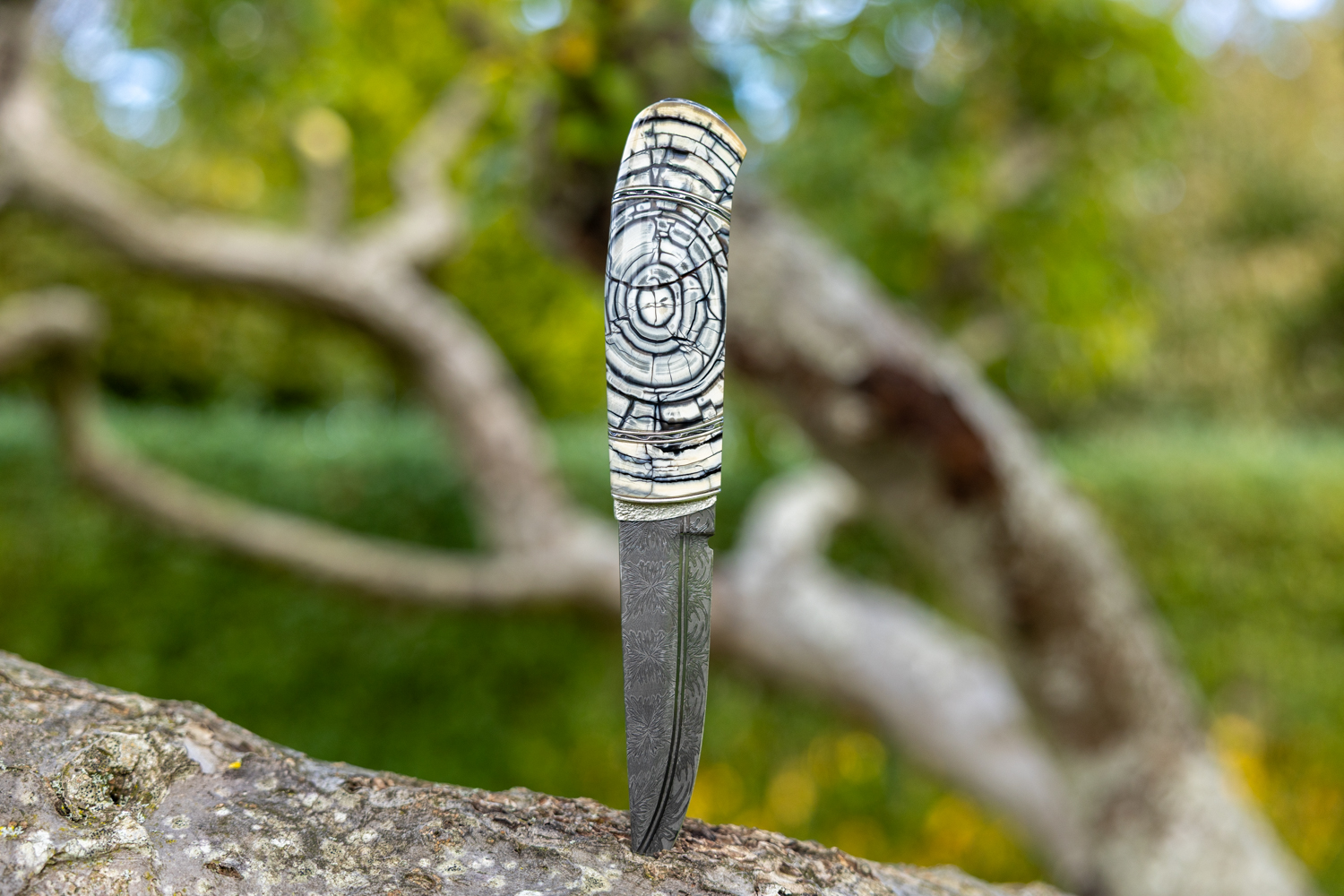 Kniv # 10-25 - Billede 3