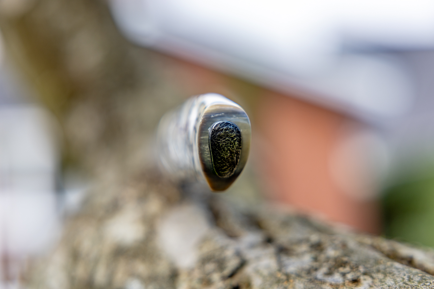 Kniv # 10-25 - Billede 8