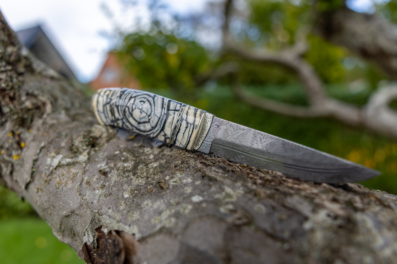 Kniv # 10-25 - Billede 7