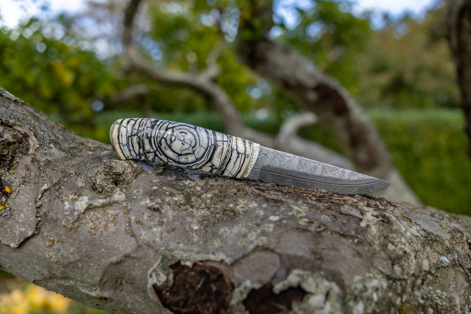 Kniv # 10-25 - Billede 10