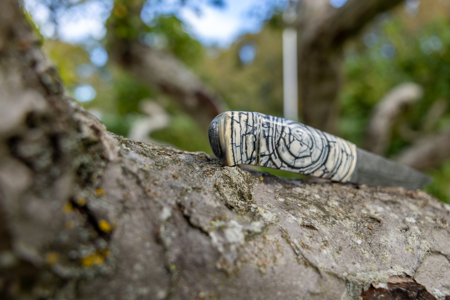 Kniv # 10-25 - Billede 11