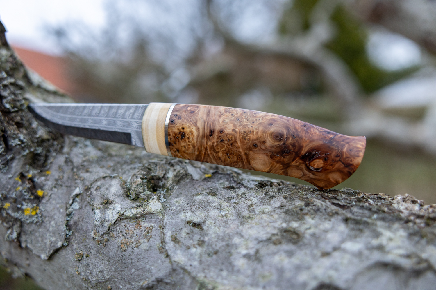 Kniv # 02-26 - Billede 8