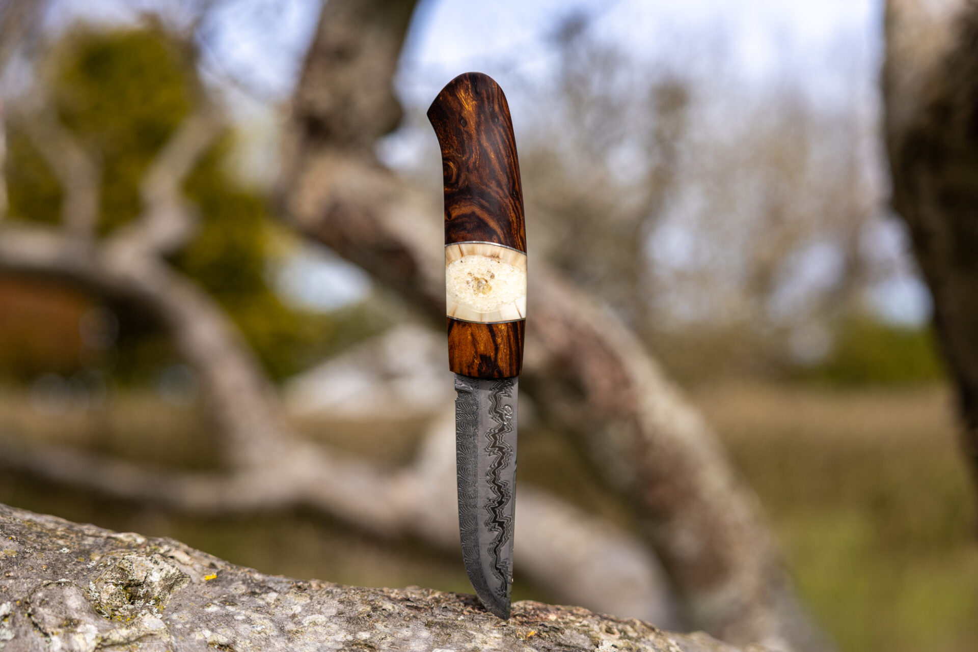 Kniv # 07-26 - Billede 2