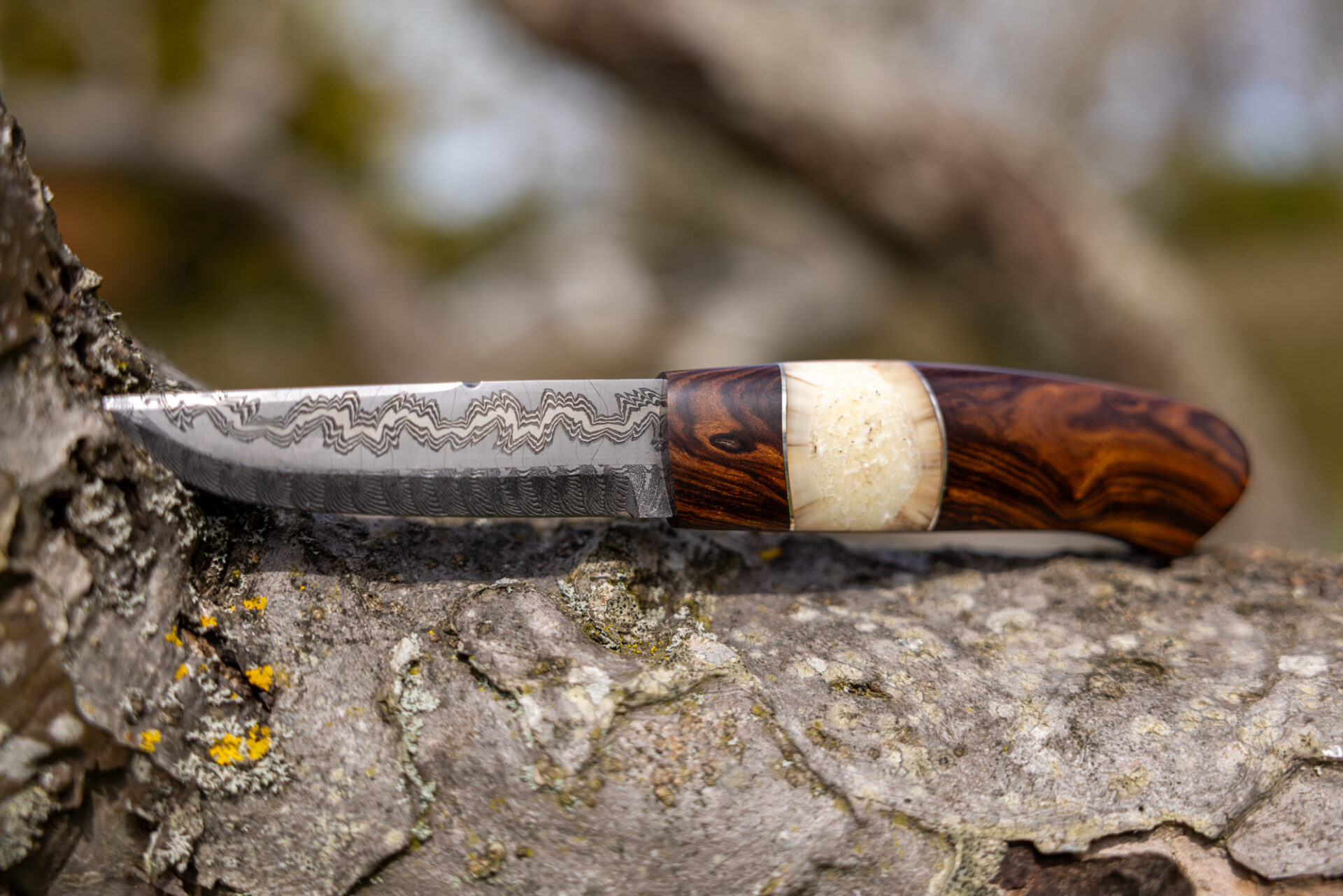 Kniv # 07-26 - Billede 4