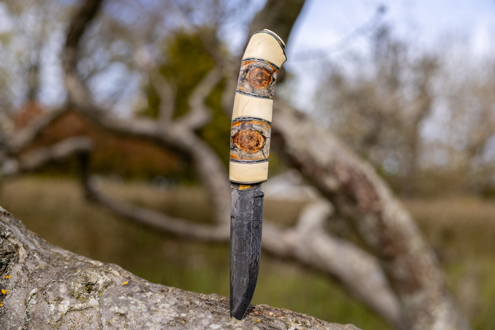 Kniv # 08-26 - Billede 5