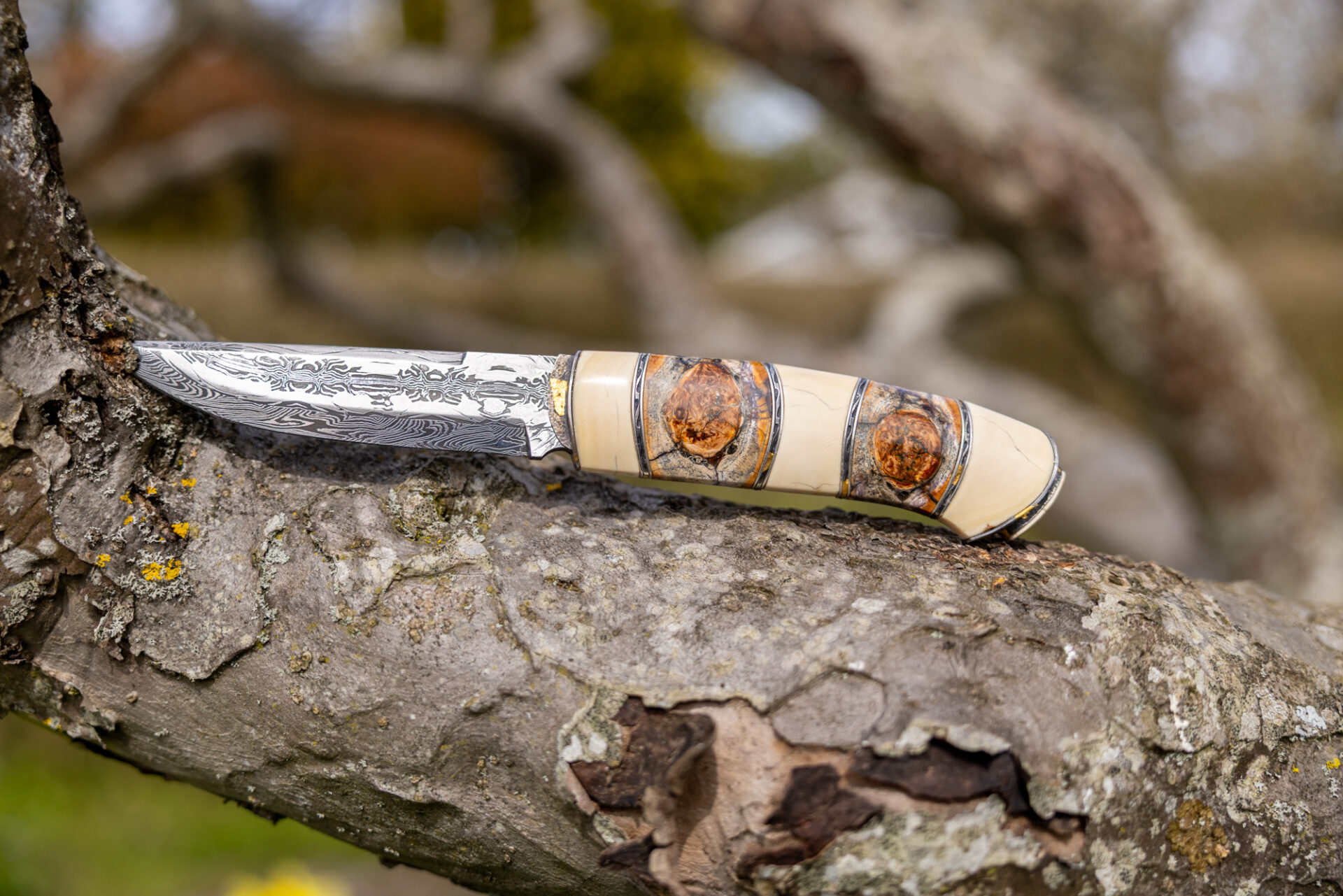Kniv # 08-26 - Billede 6
