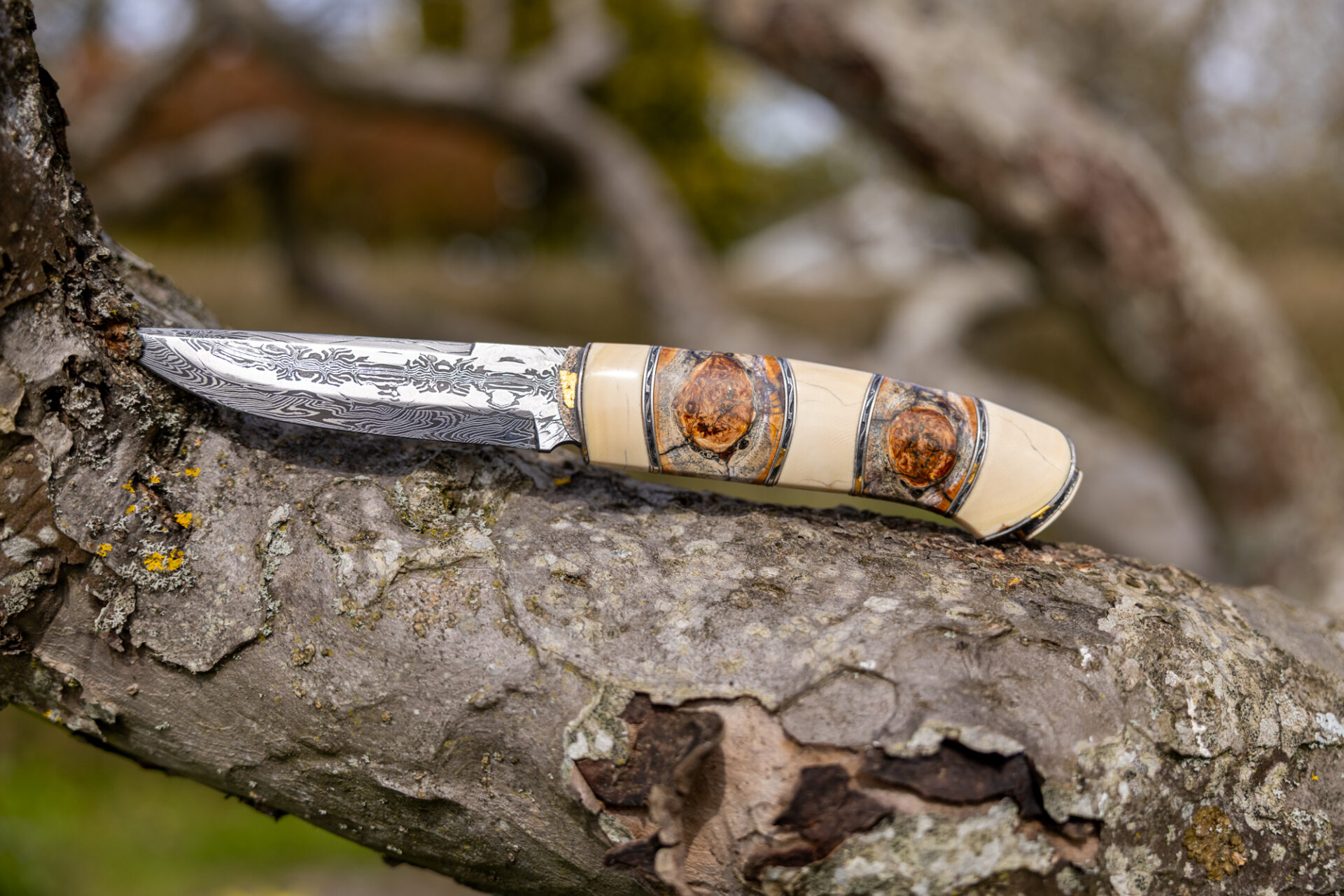 Kniv # 08-26 - Billede 18