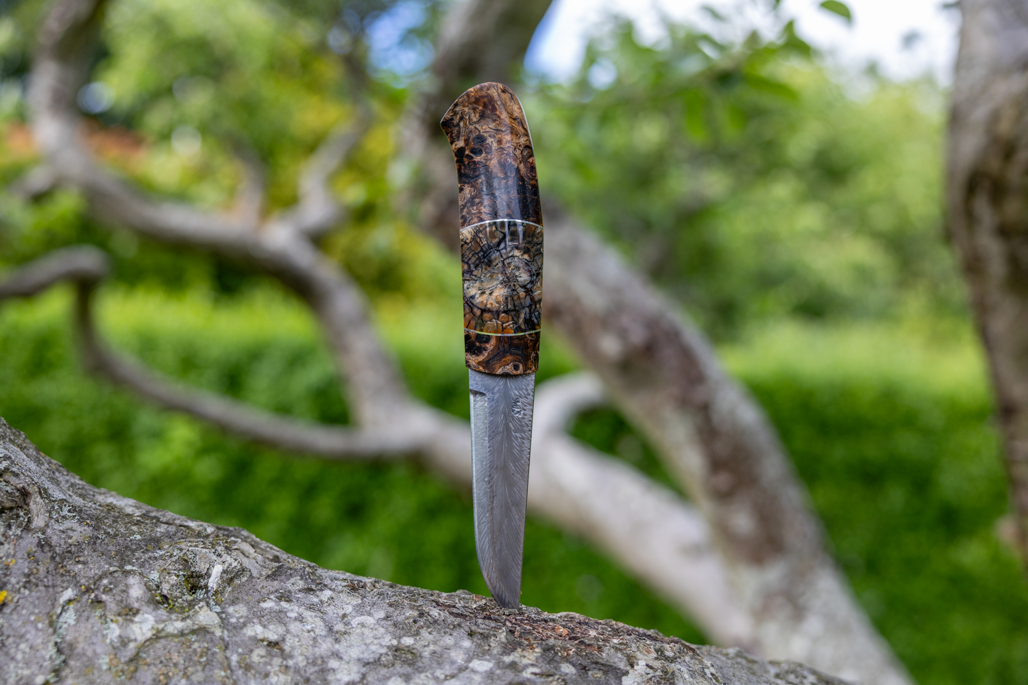 Kniv # 10-26 - Billede 2