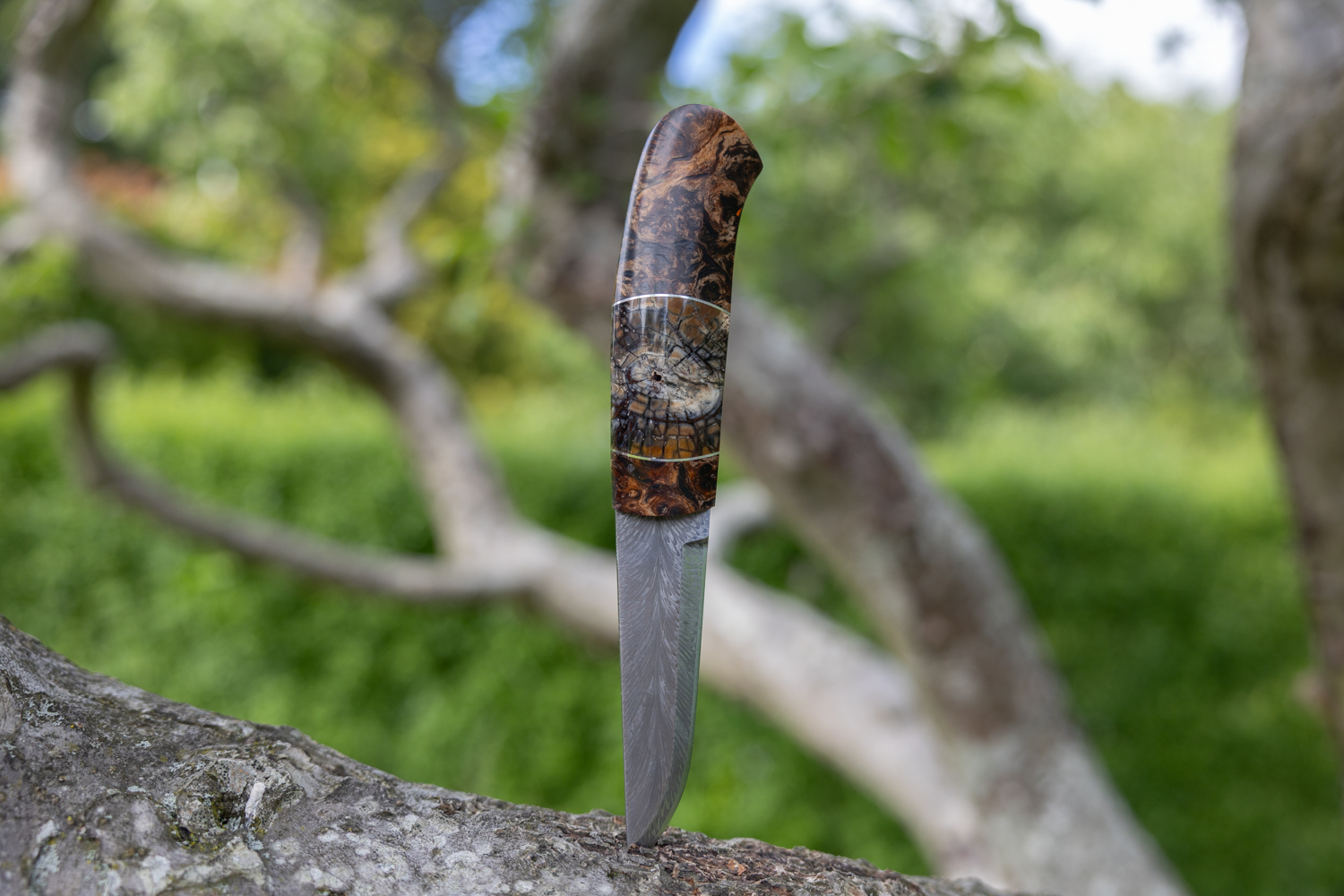 Kniv # 10-26 - Billede 3