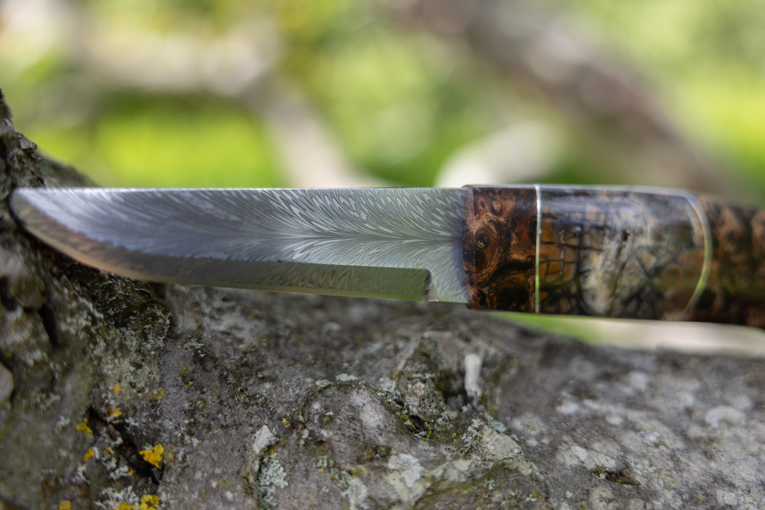Kniv # 10-26 - Billede 4