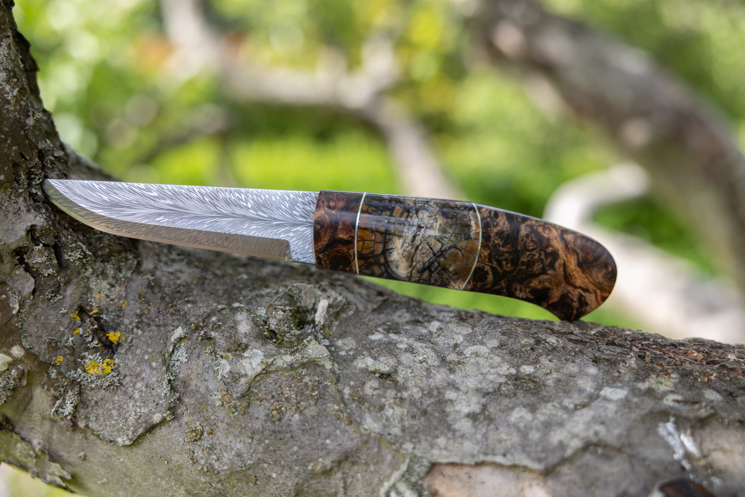 Kniv # 10-26 - Billede 8