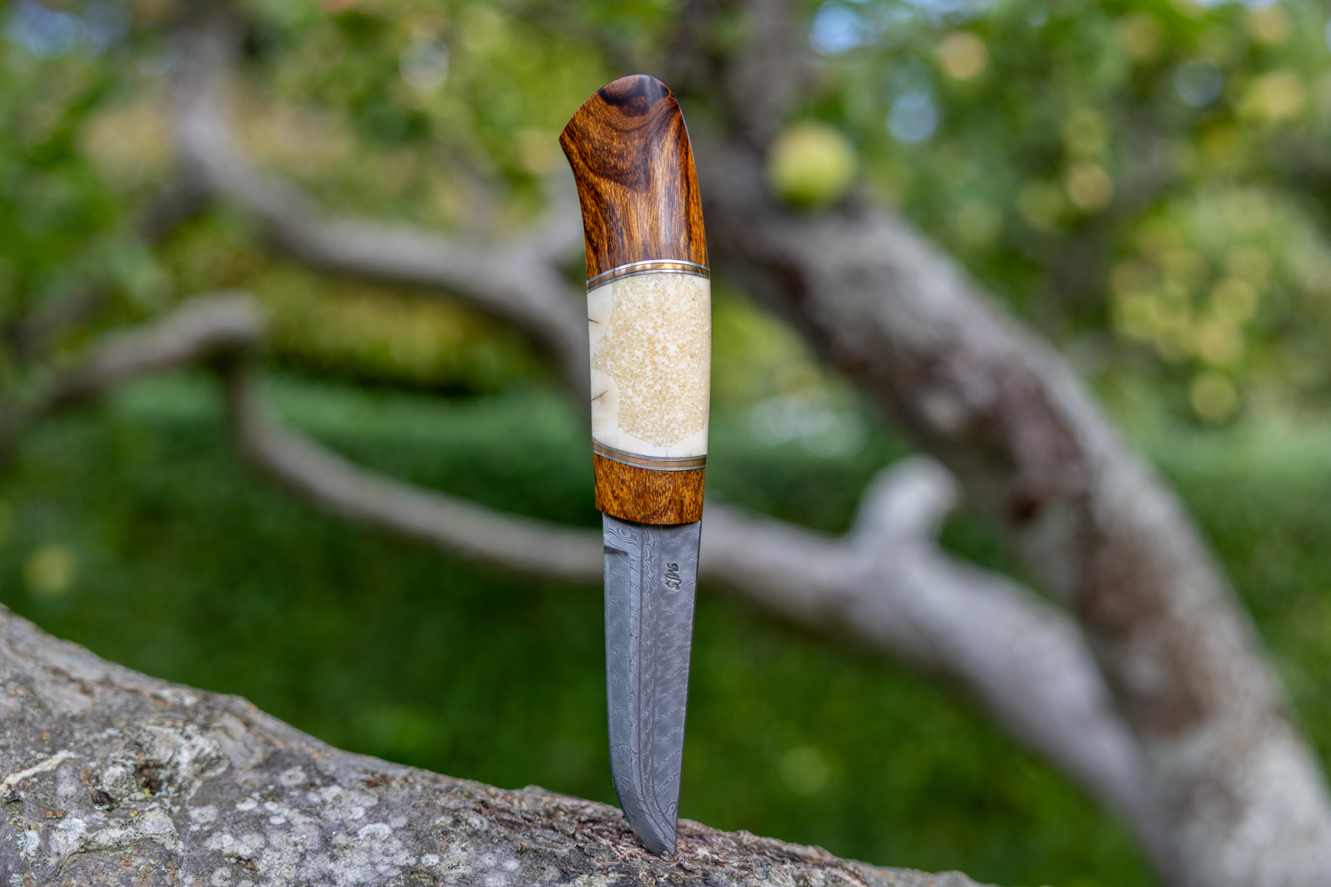 Kniv # 11-26 - Billede 2