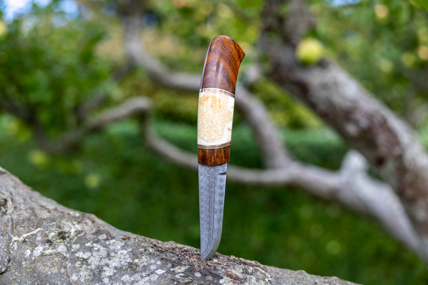 Kniv # 11-26 - Billede 3