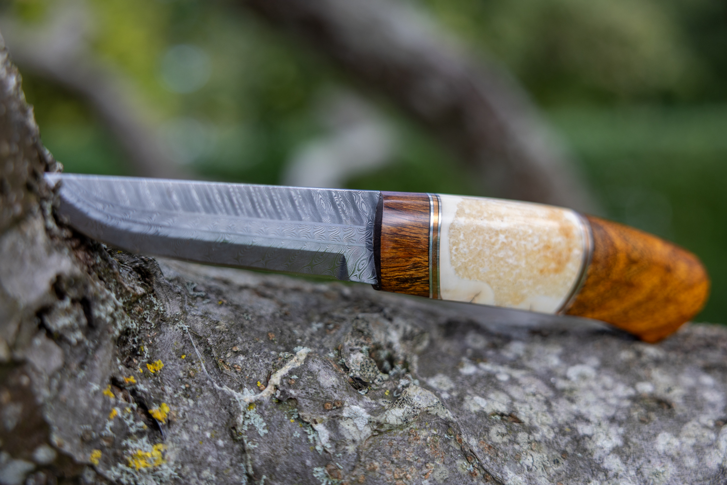 Kniv # 11-26 - Billede 8