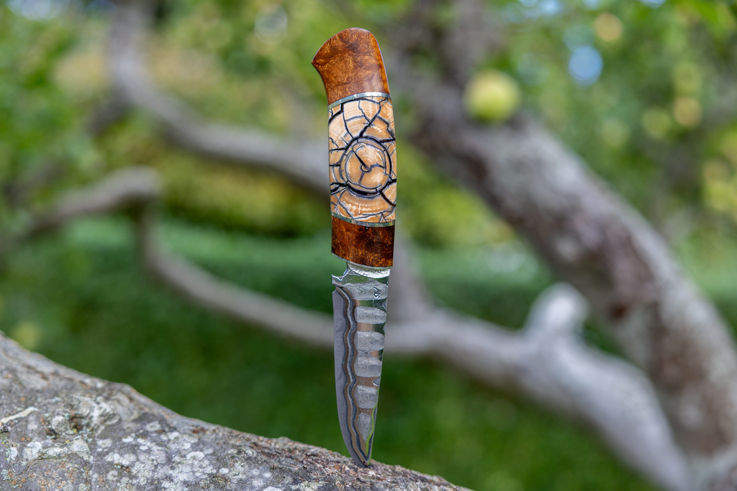 Kniv # 13-26 - Billede 2